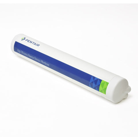 Encapsulated Reverse Osmosis Membranes